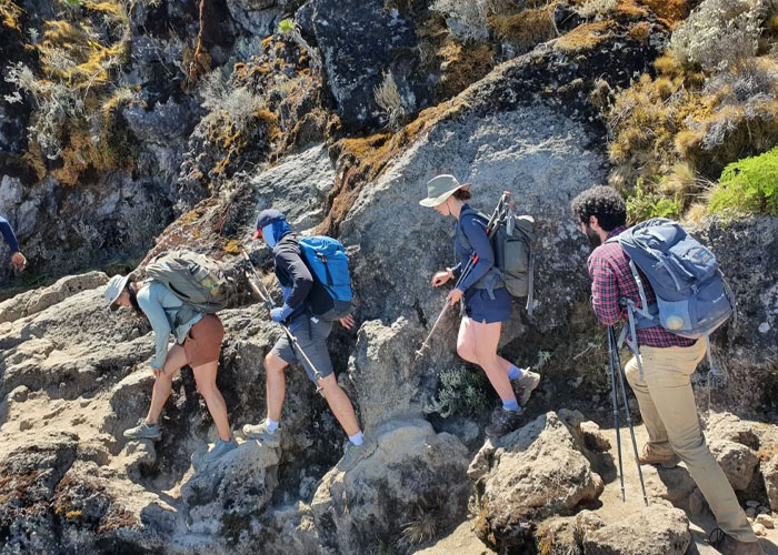 6-Days-Kilimanjaro-Marangu-Route