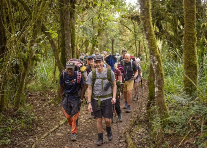 7 Days Lemosho Route