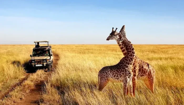 7 Days 6 Nights Serengeti Safari adventure