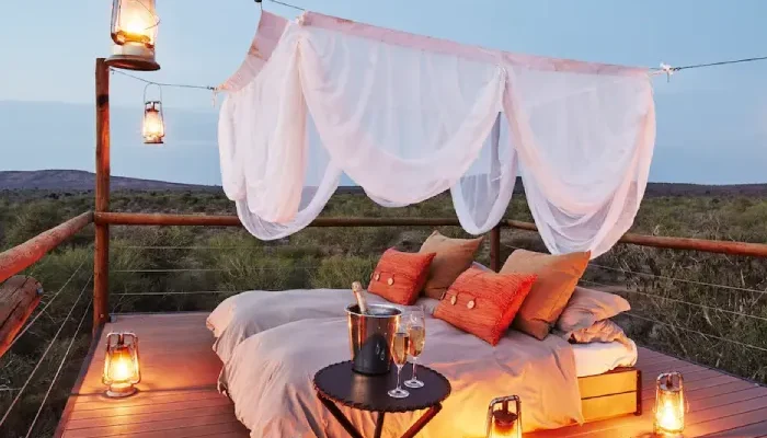 8 Days Serengeti Honeymoon Safari