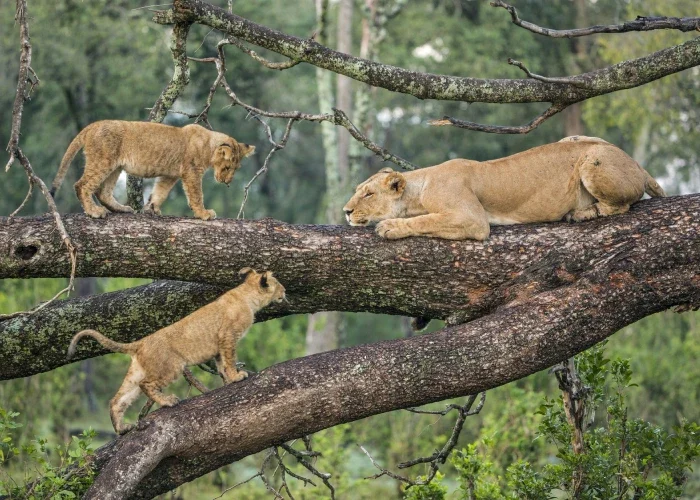 Lake Manyara