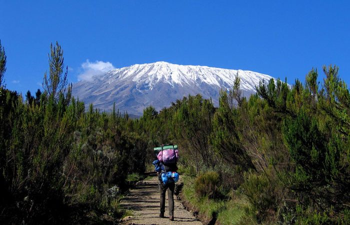 Mount Kilimanjaro National Park