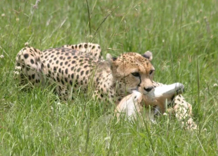 Tsavo East National Park